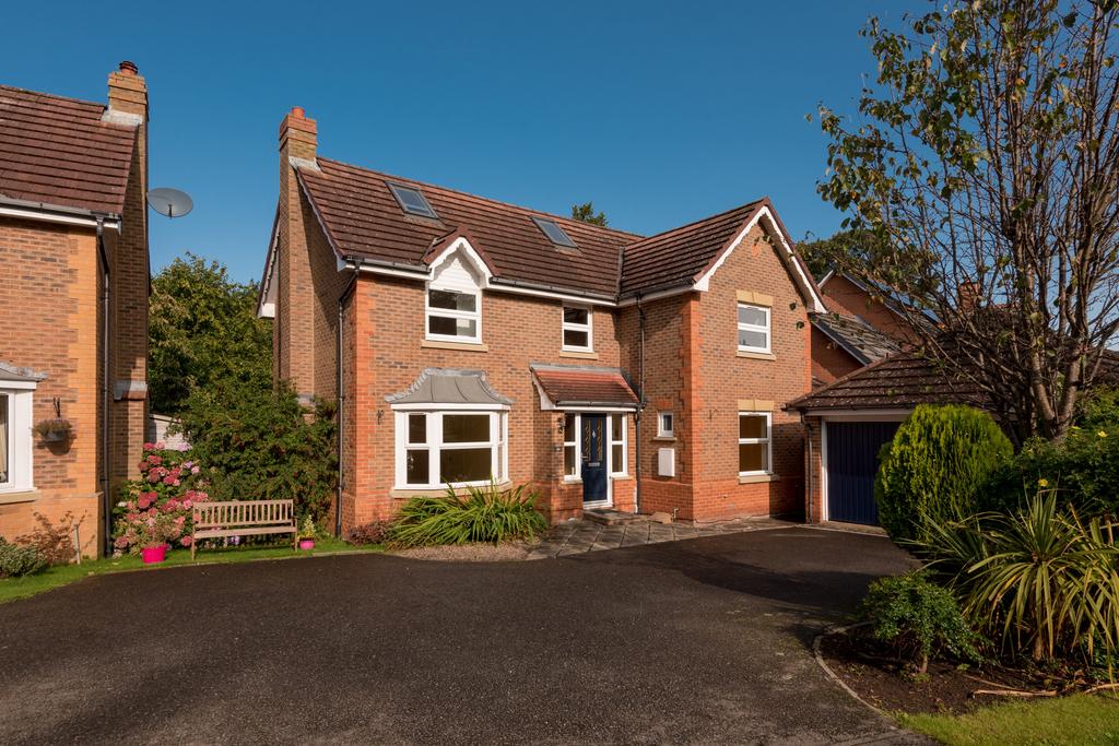 Property Image 37