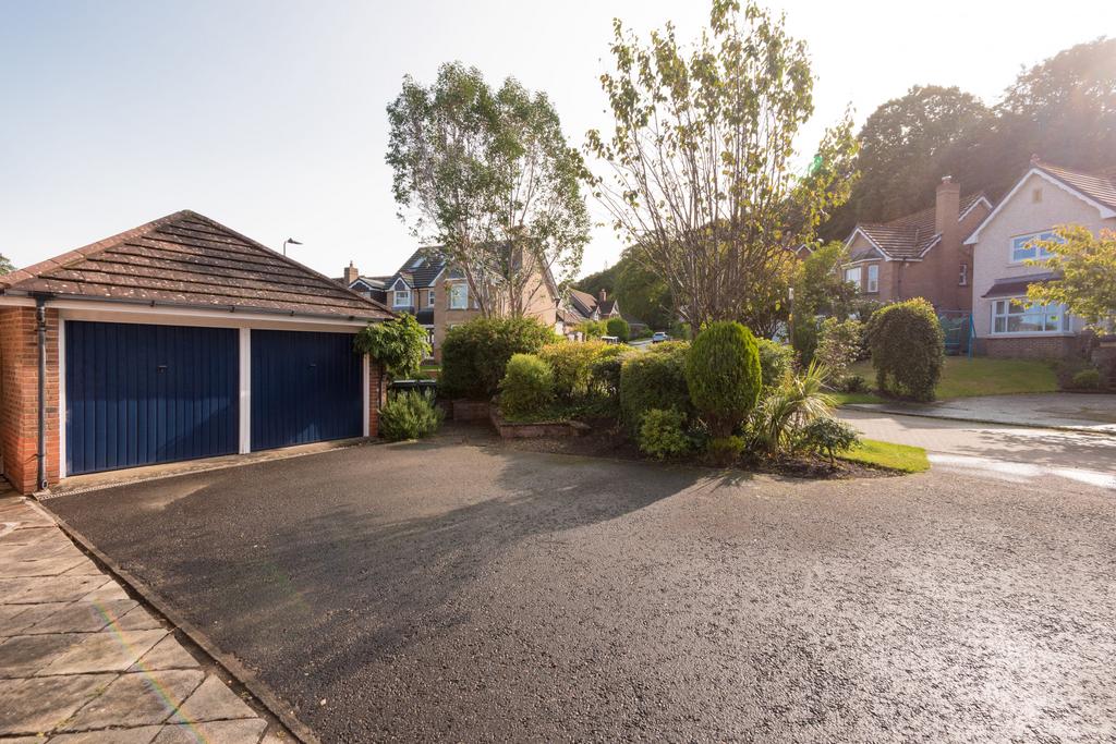 Property Image 38