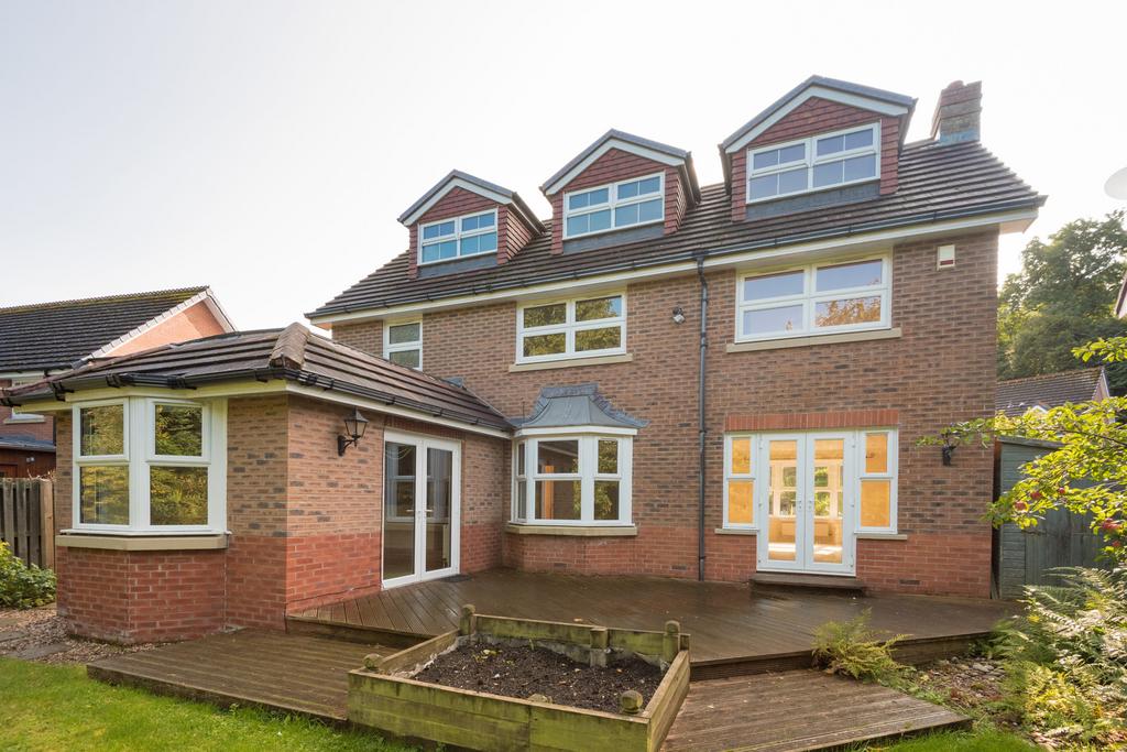 Property Image 39