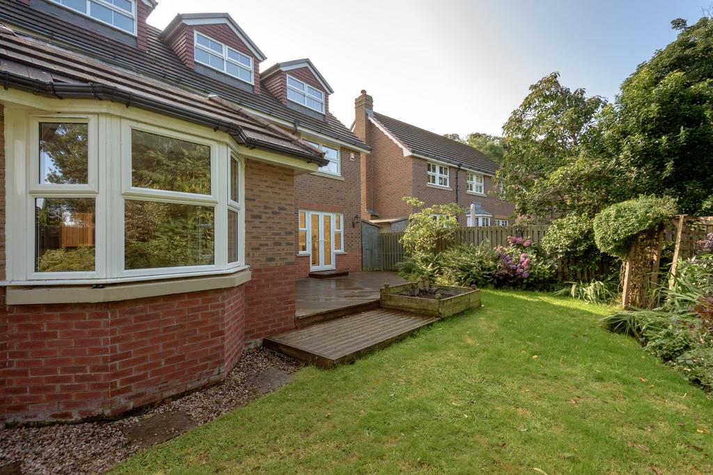 Property Image 40