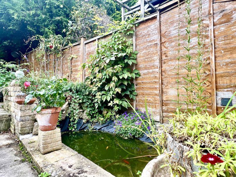Garden Pond