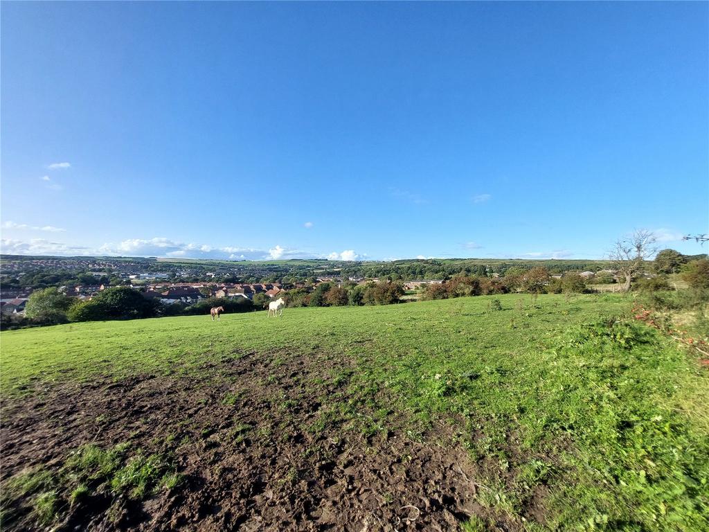Crook, Durham, DL15 Equestrian property for sale £45,000