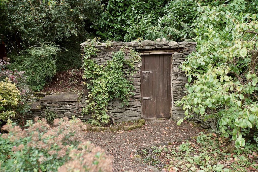 Rear Garden - storage shed