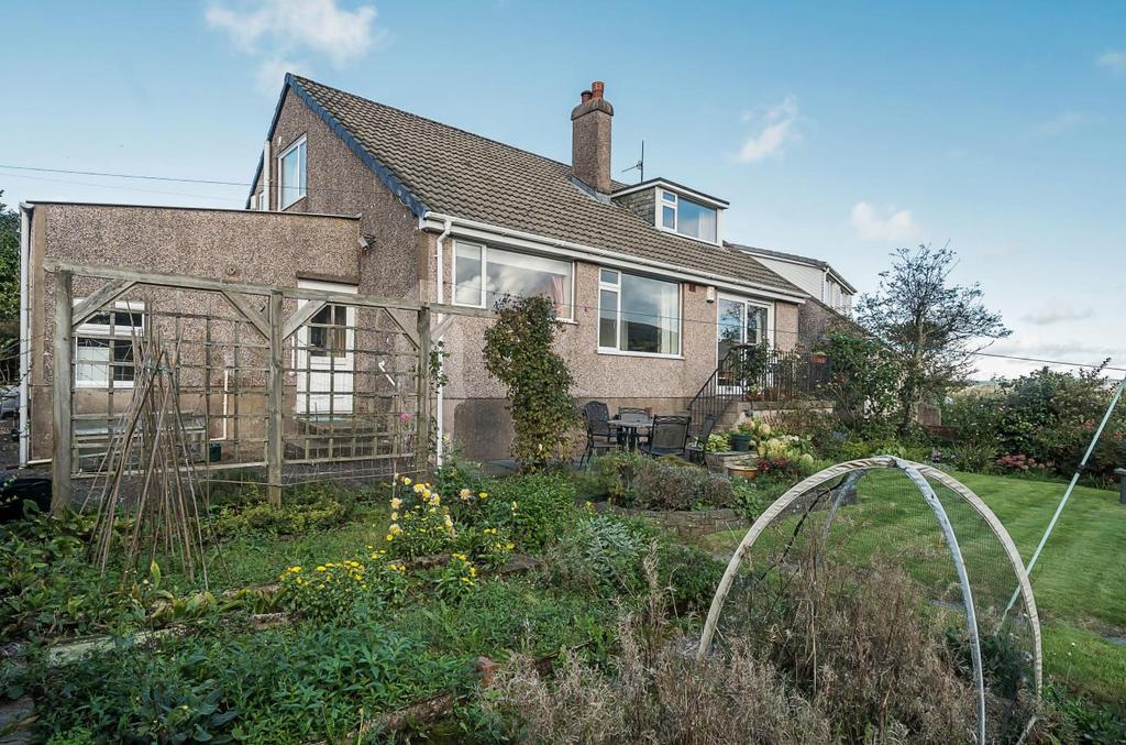 Externally   rear