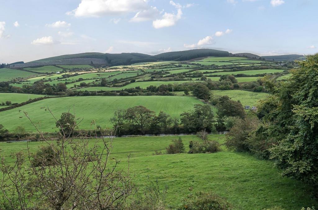 Picturesque views