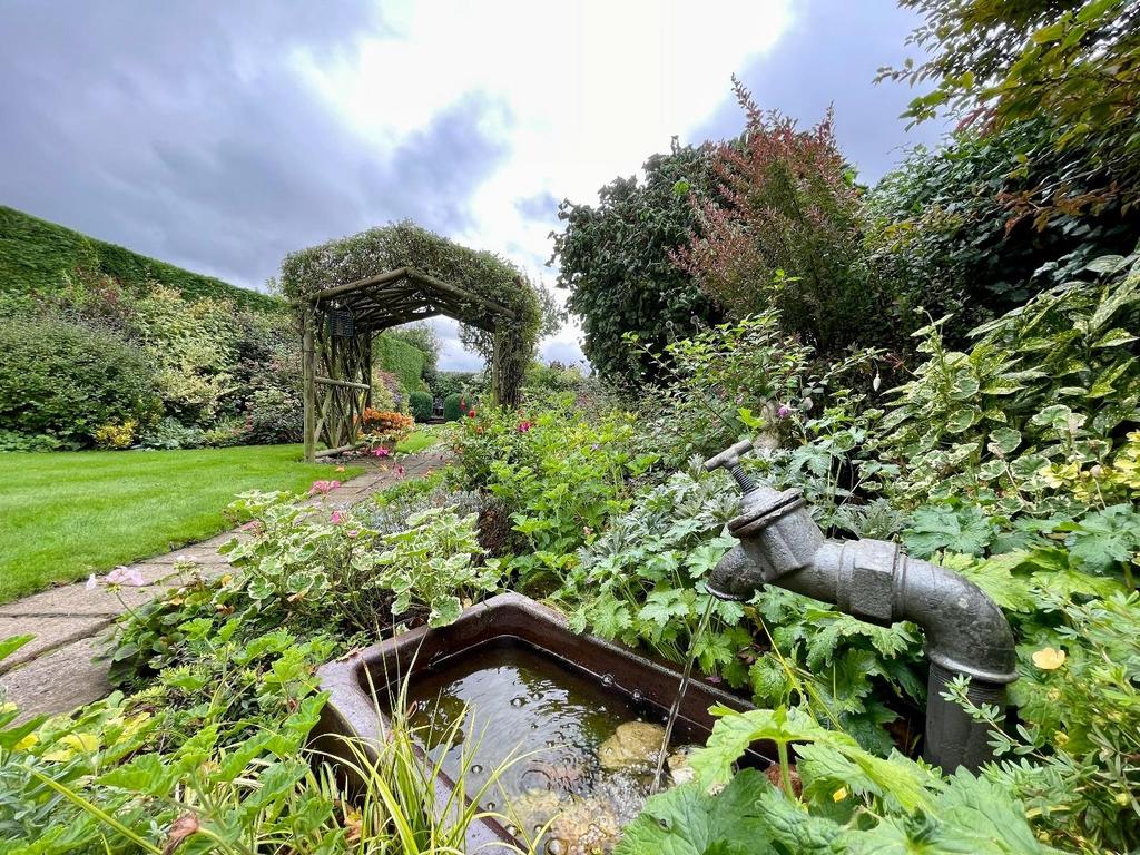 Rear garden