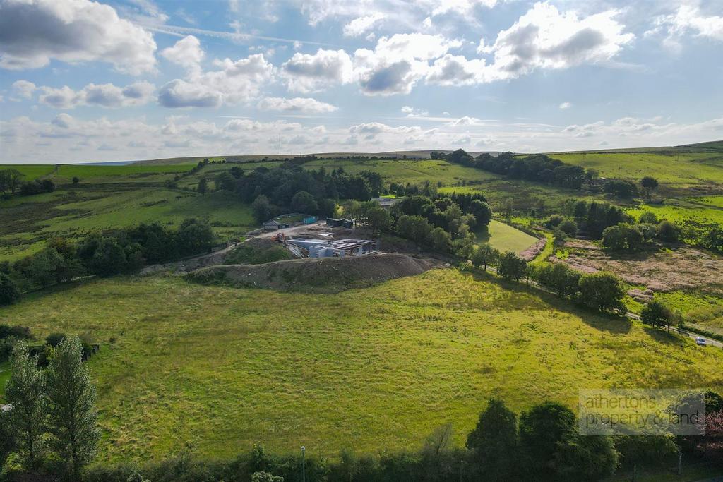 DJI 0767.jpg