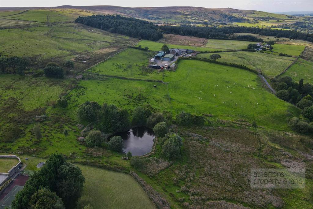 DJI 0806.jpg