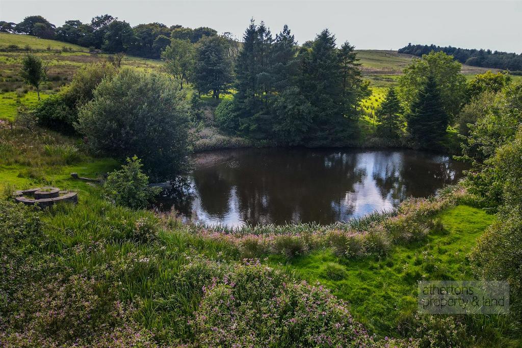 DJI 0791.jpg