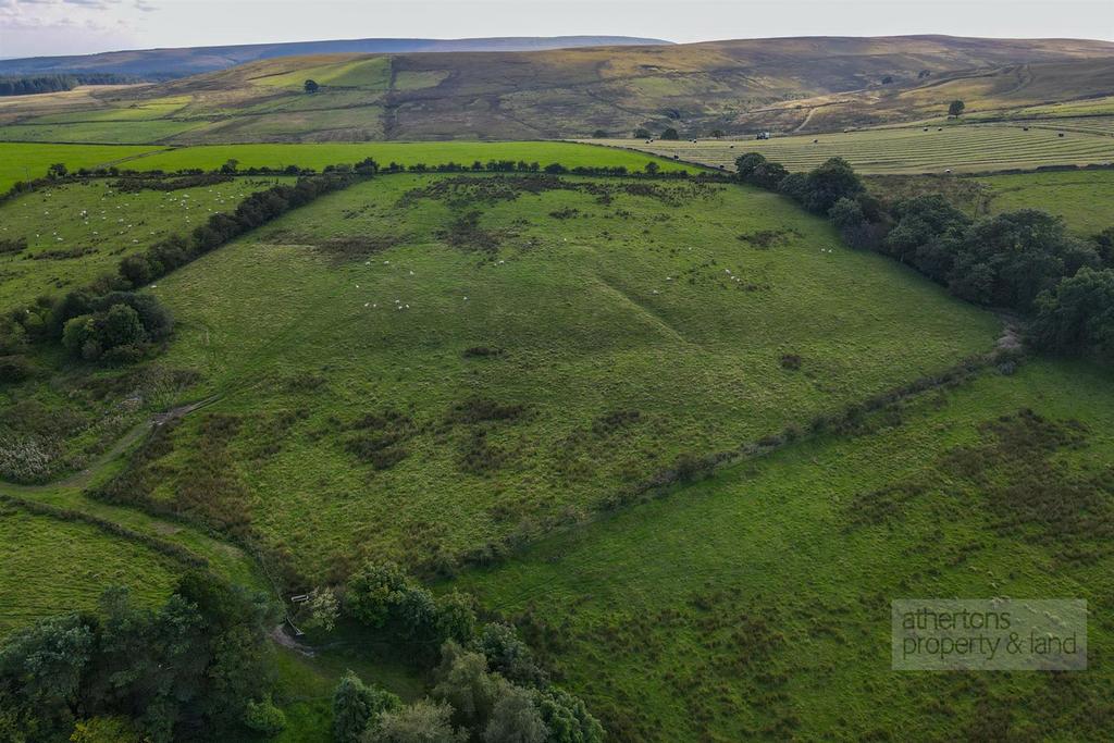DJI 0808.jpg