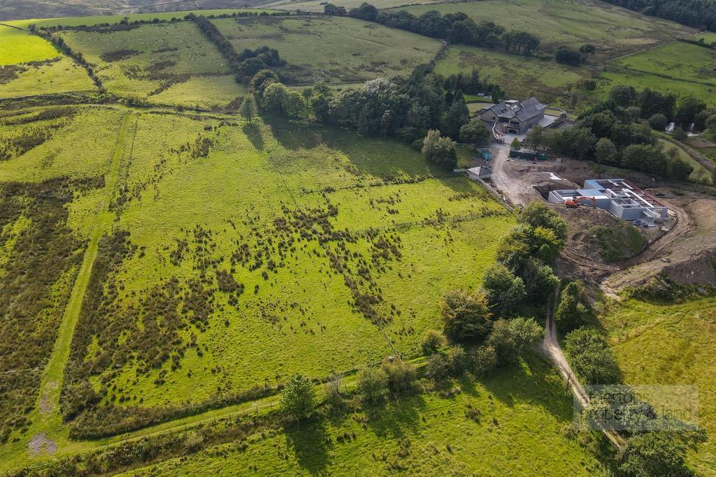 DJI 0771.jpg