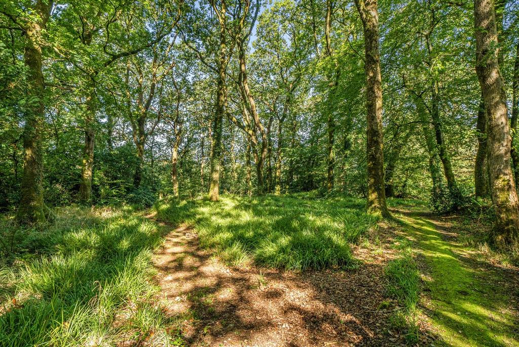 Woodland
