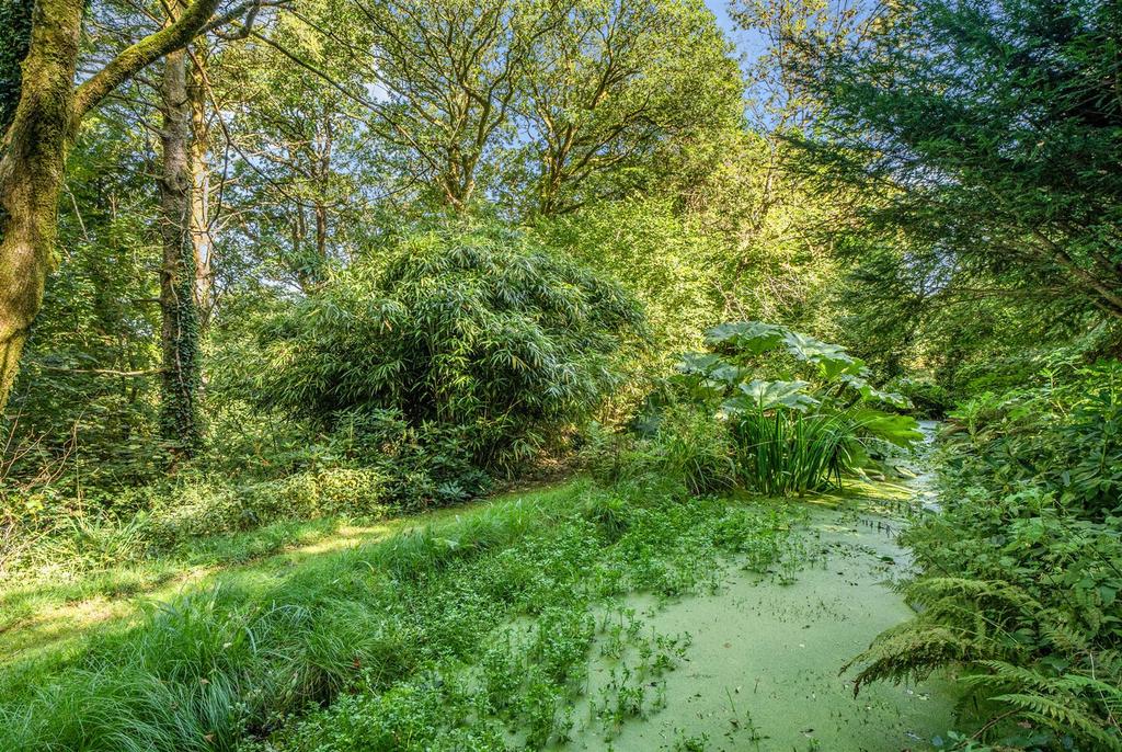 Pond