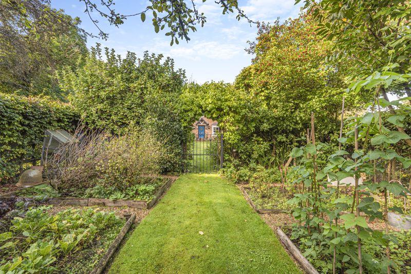 Garden 2