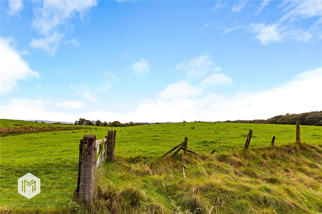 Picture No. 15