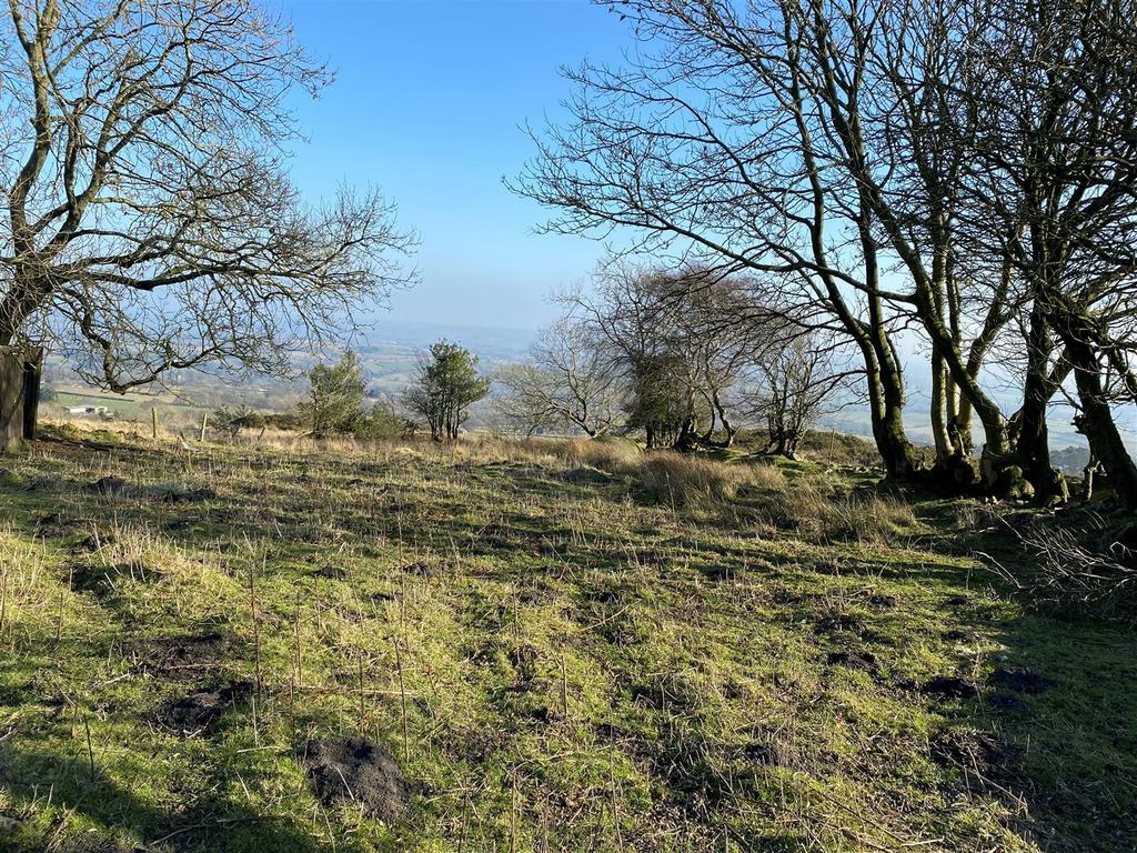 Clee Hill Land Picture 1.jpg