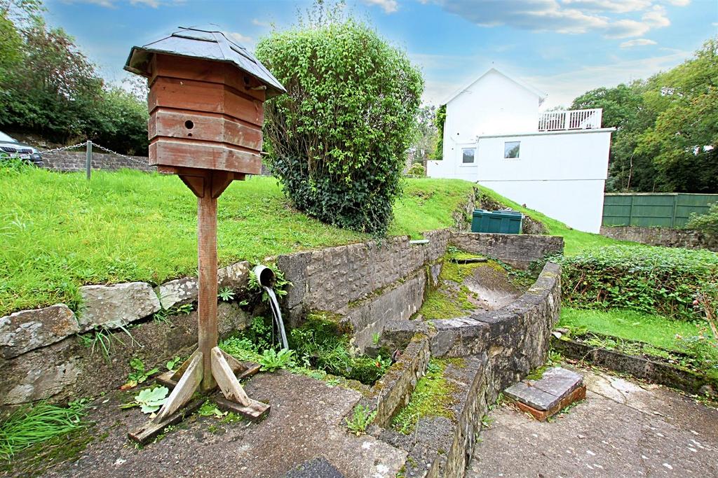 Fish pond