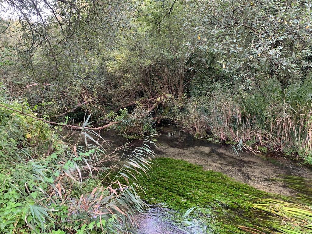 Pillhill Brook.jpg