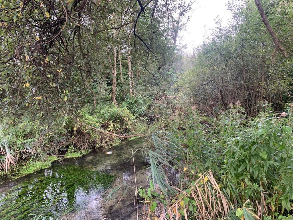Pillhill Brook.jpg