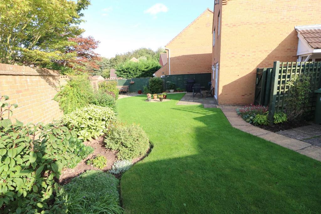 Img 0471.jpg