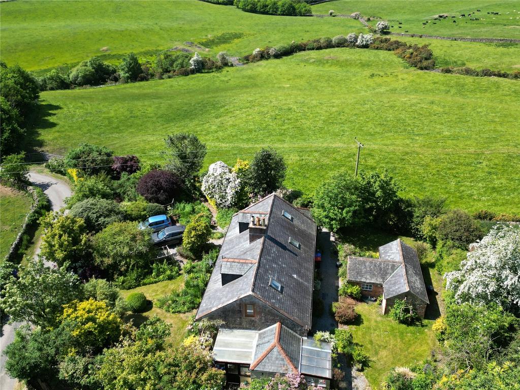 Drone Picture