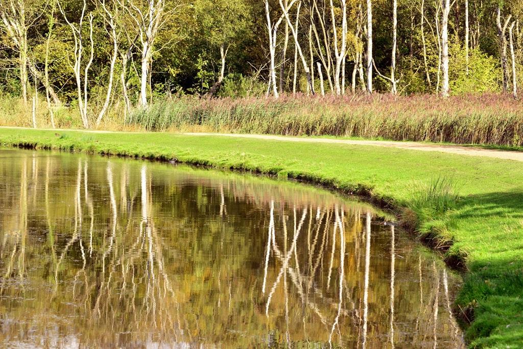 Take a stroll around the country side that sits...