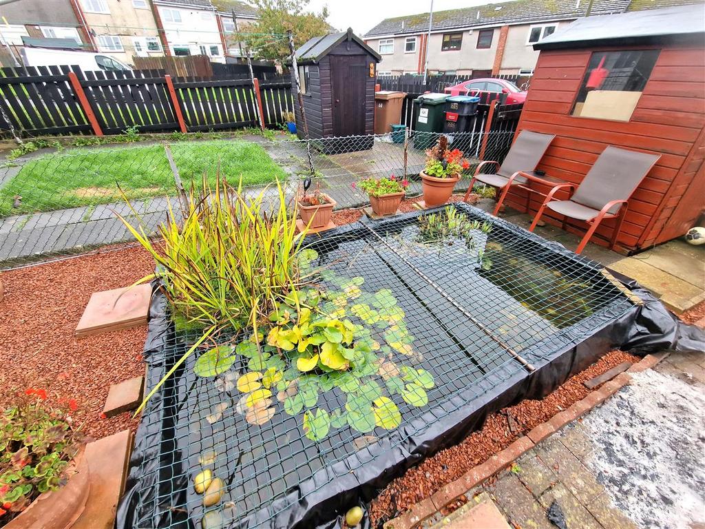 Pond