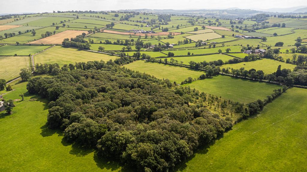 Land & Woodland Near Newlands, Hesket Newmarket, Cumbria CA7 Land for