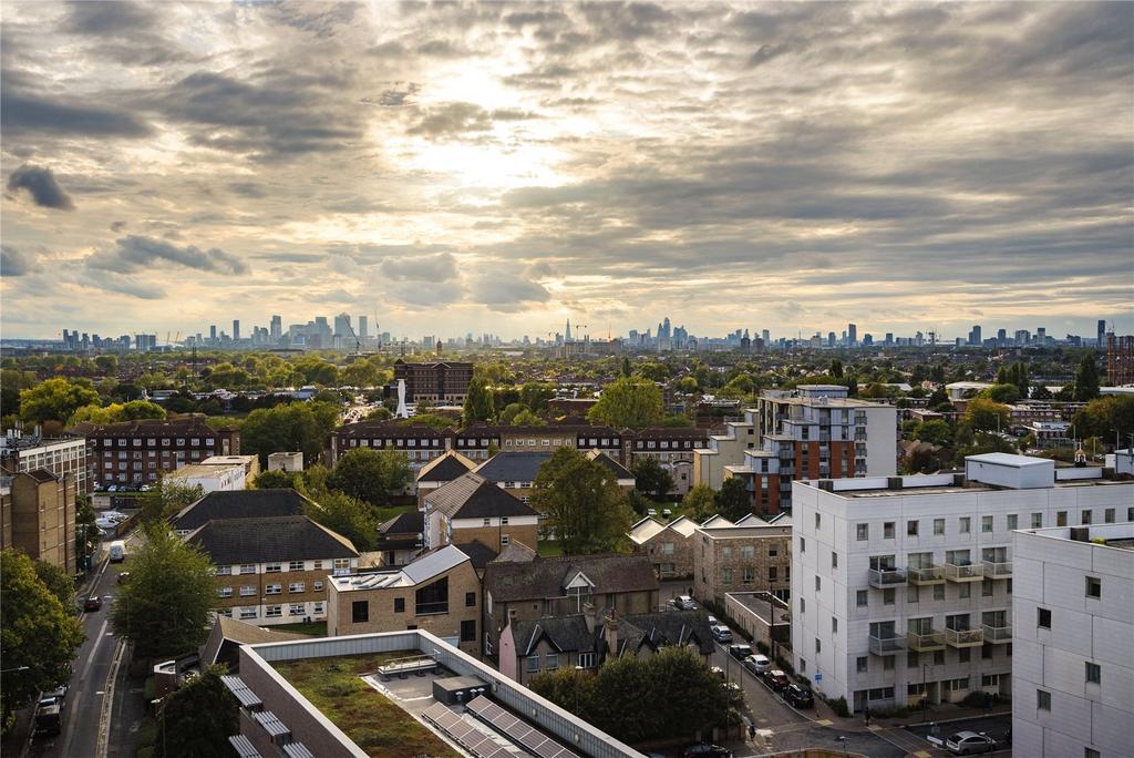 View From Roof