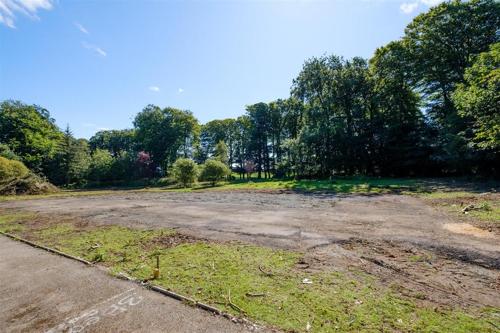 Site View November 2023