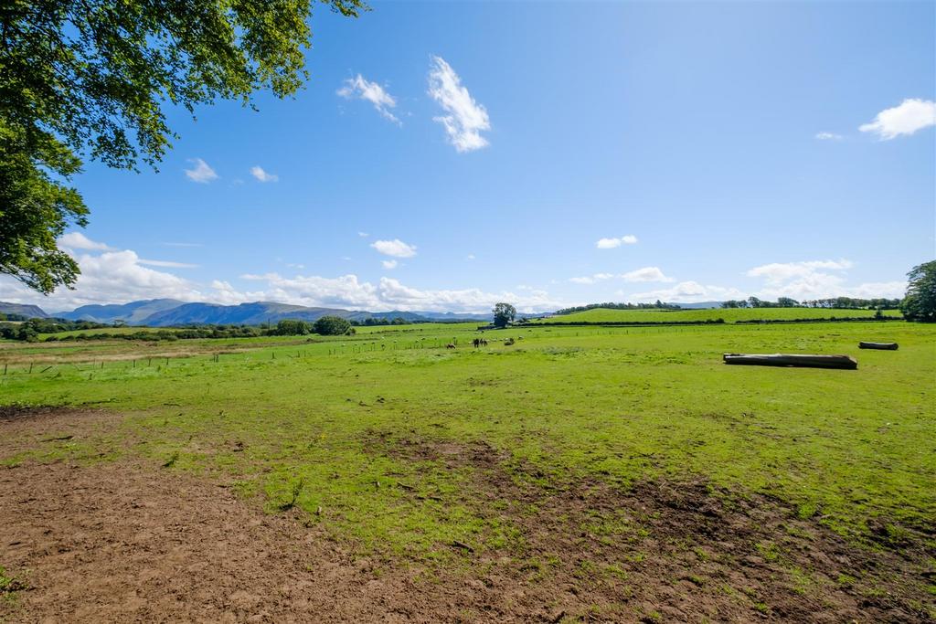 Site View