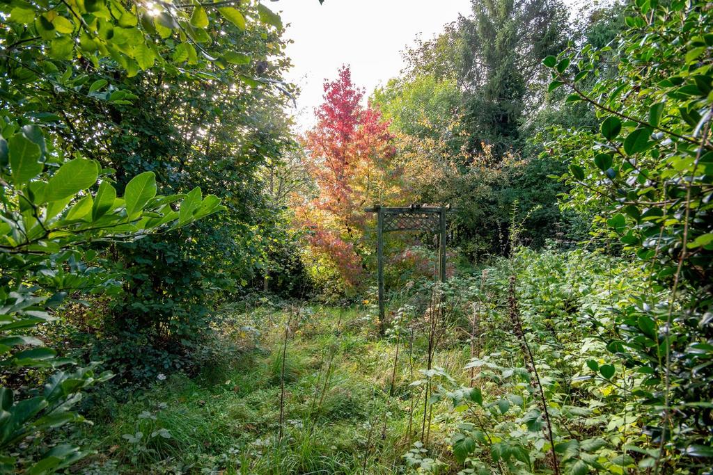 Garden6.jpeg