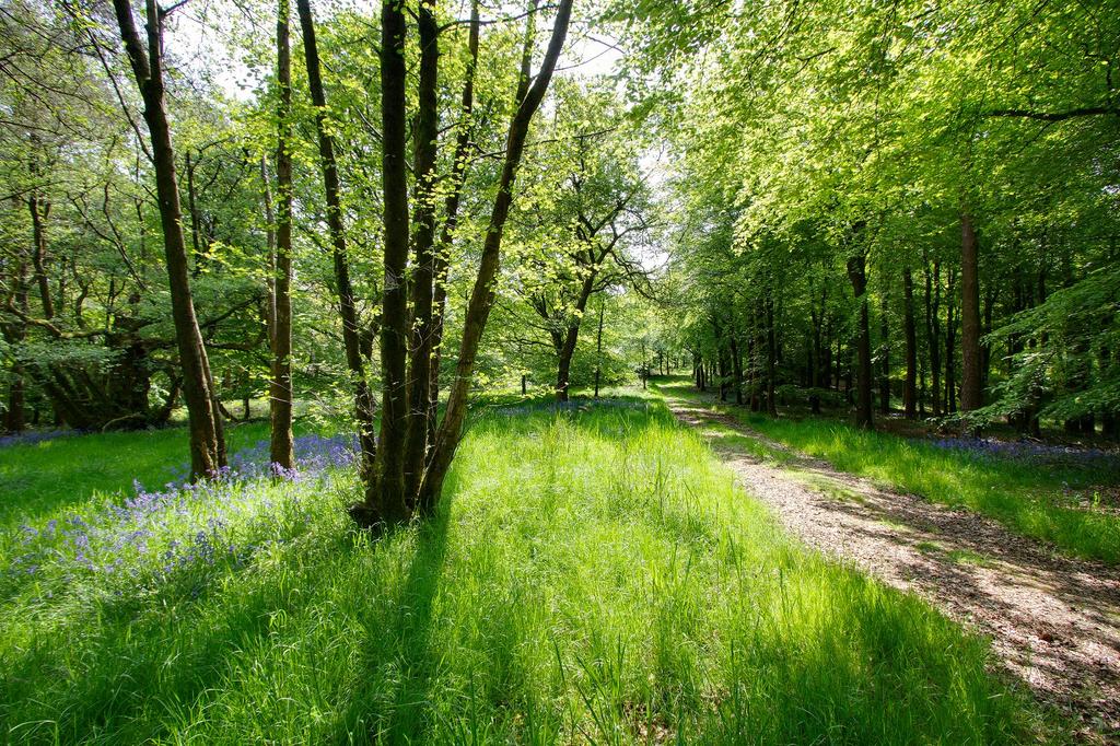 Lawkland, Austwick, North Yorkshire Land for sale £500,000