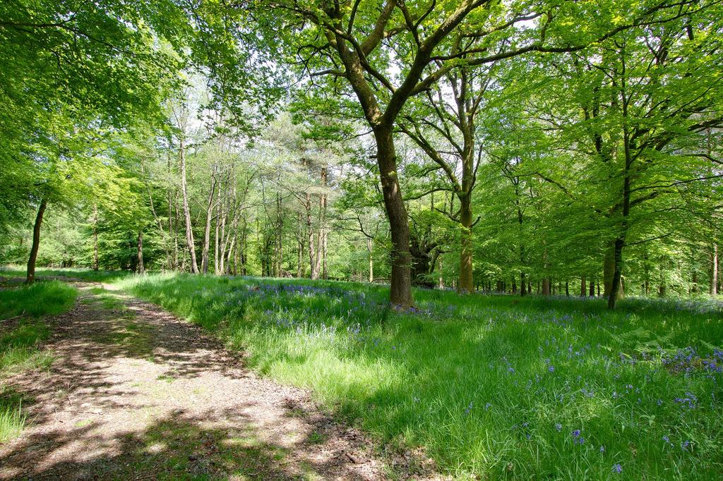 Lawkland, Austwick, North Yorkshire Land for sale £500,000