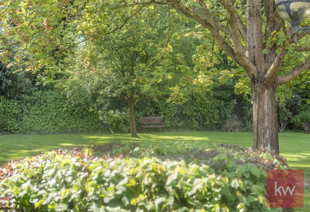 Communal Gardens