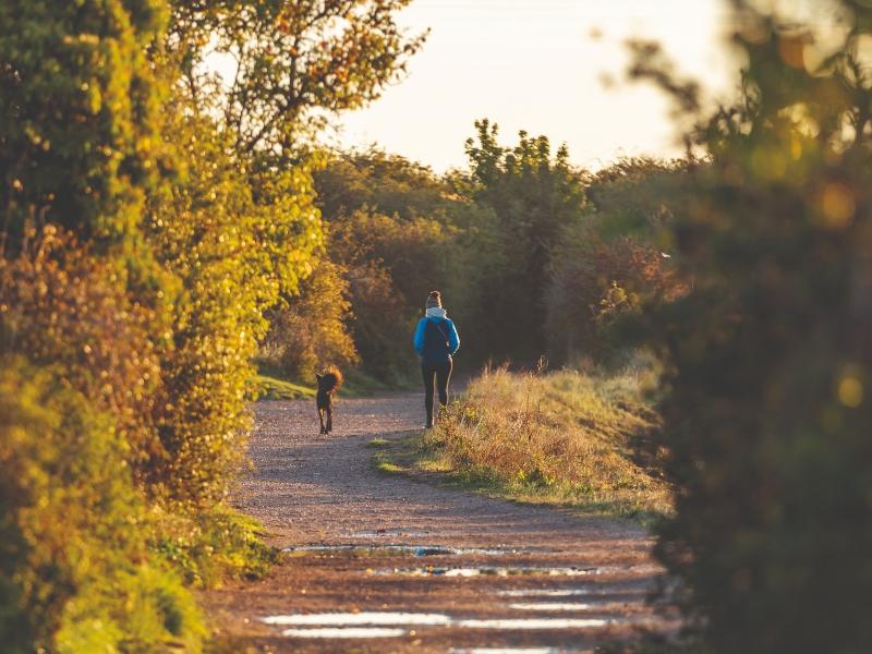 Riverside Country Park