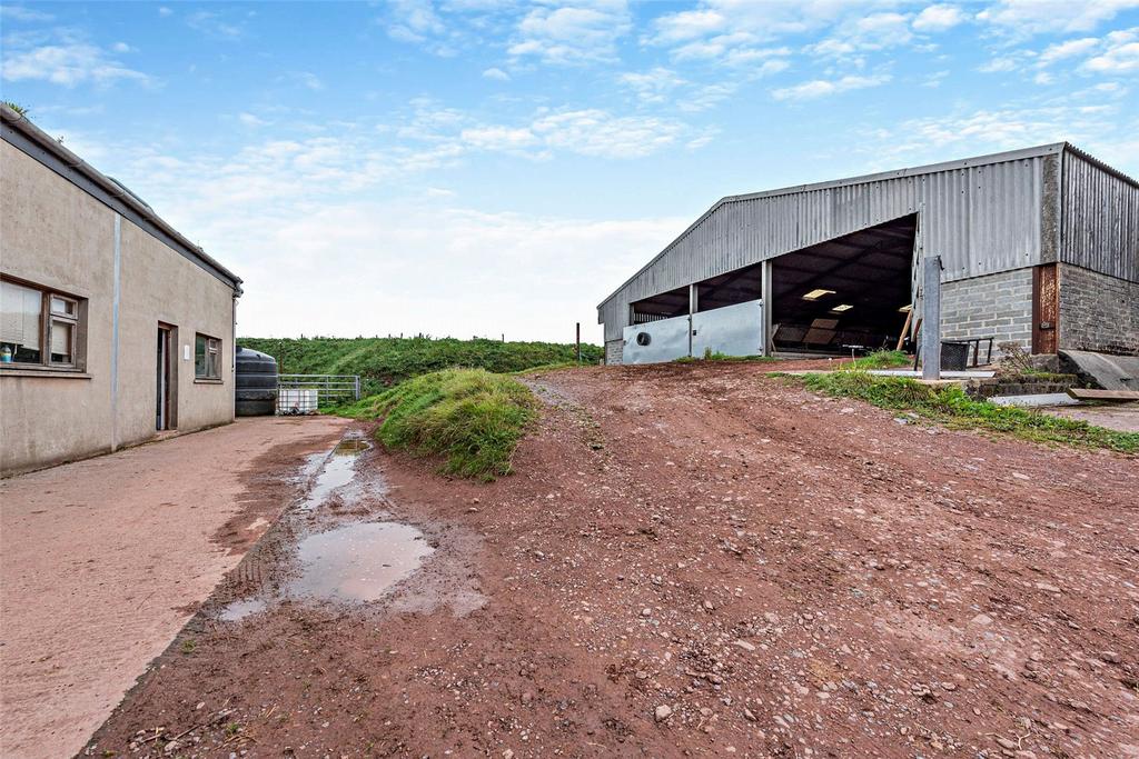 Office and Shed