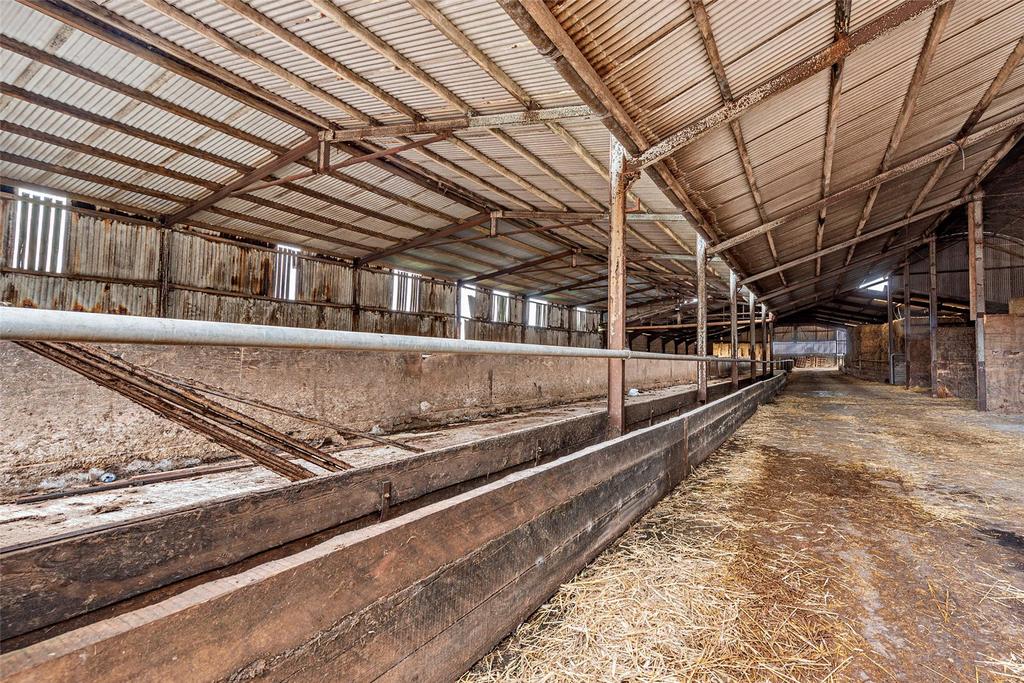 Feed Livestock Shed