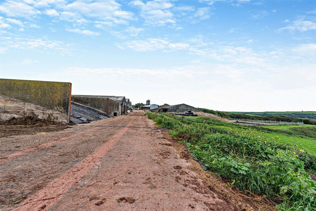 Silage Clamps