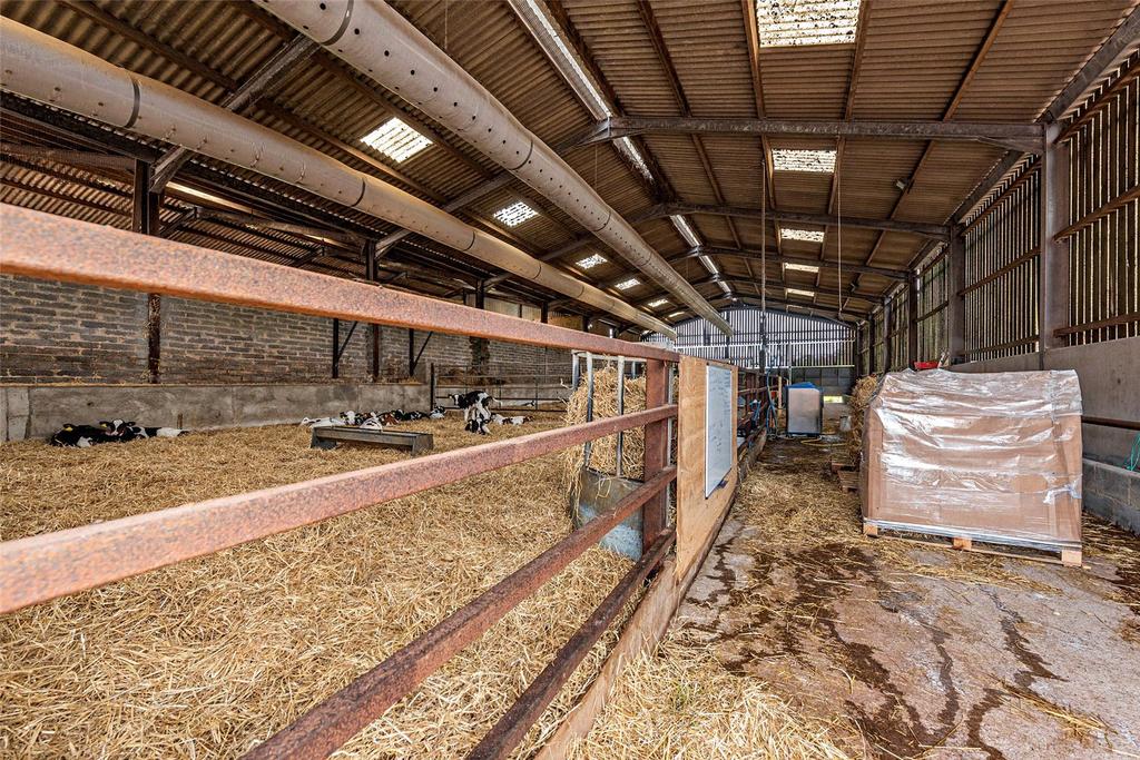 Calf Shed