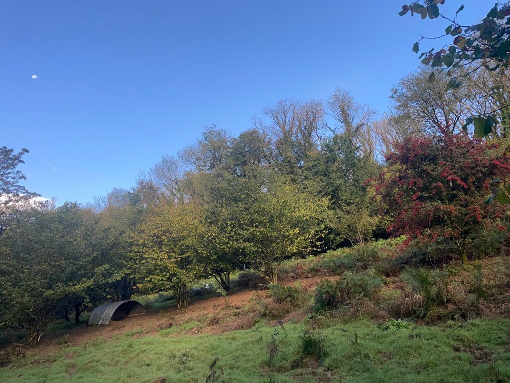 Cwmbach, Whitland 3 bed property with land £395,000