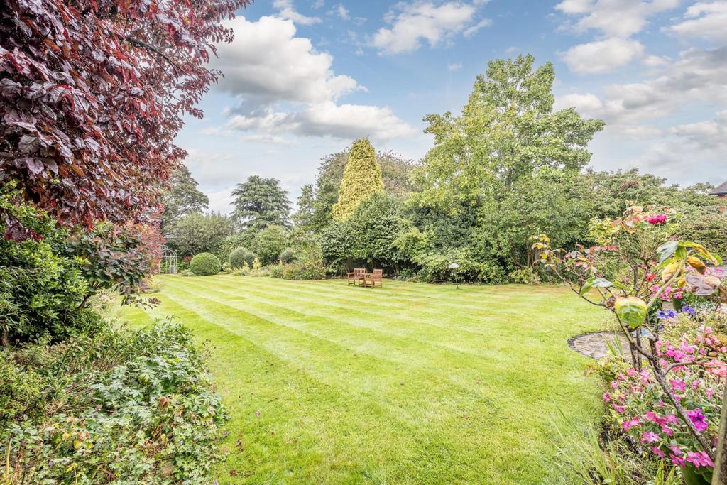 Rear Garden 2