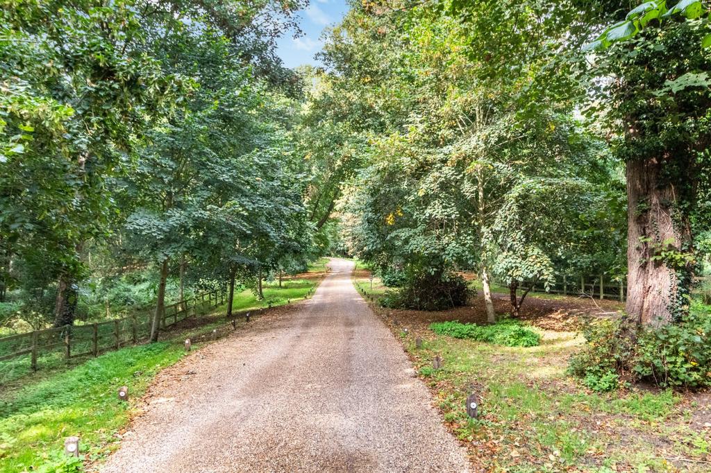 Woodland Setting