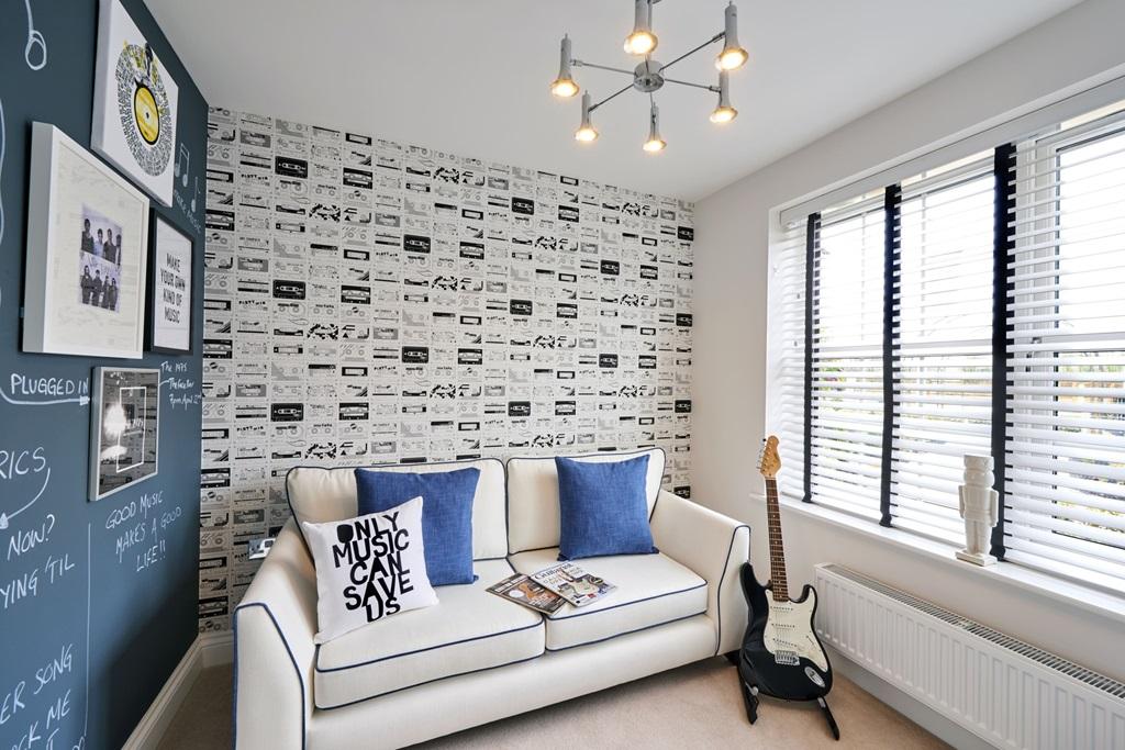 Cinema room or practical home office