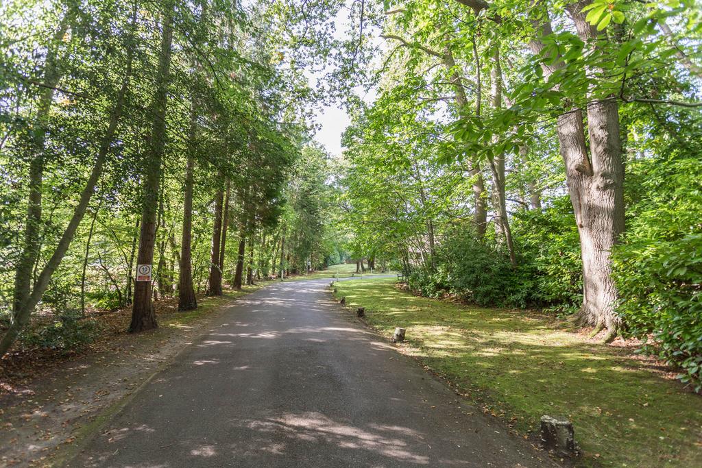 Impressive driveway