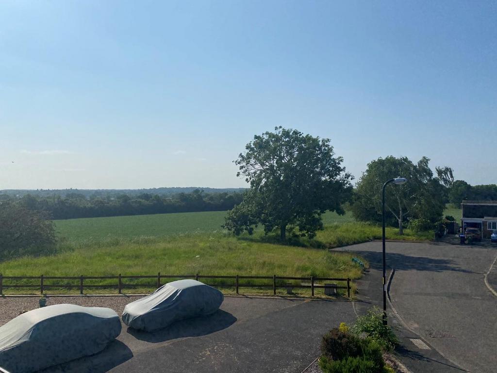 View.jpg