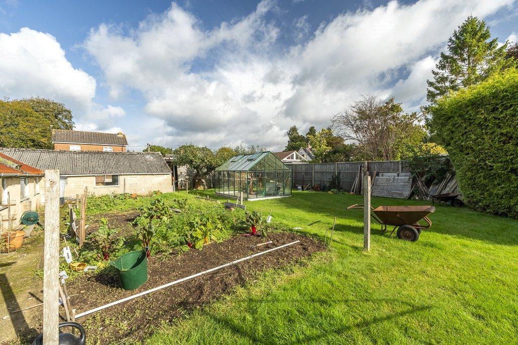 Vegetable Garden