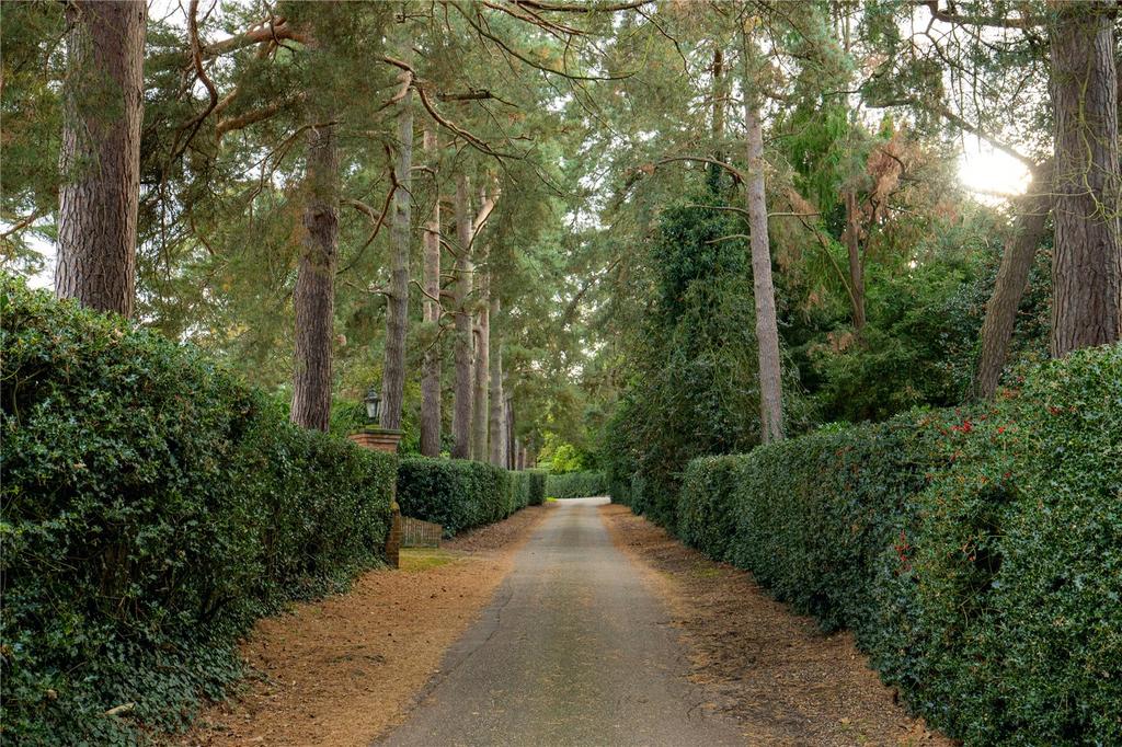 Driveway