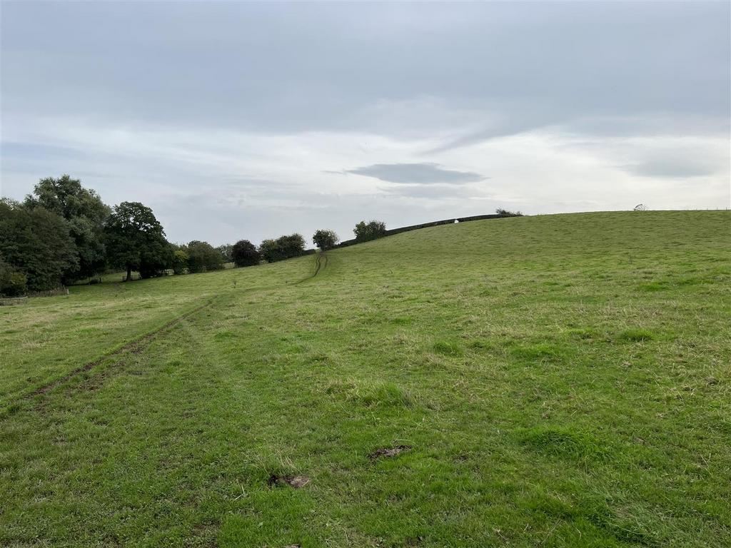 IMG 8918.jpg