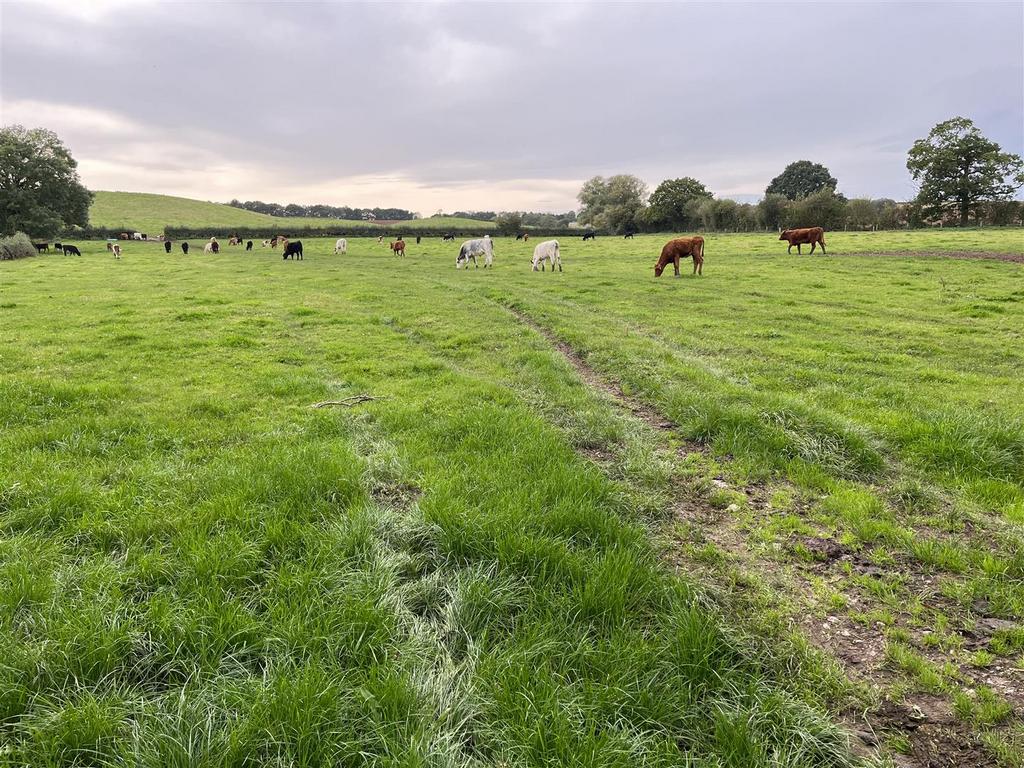 Bramshall, Uttoxeter Land for sale £300,000